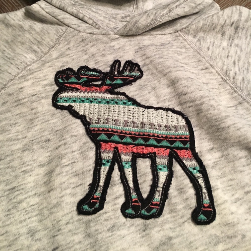 Girls Abercrombie and Fitch hooded sweatshirt.